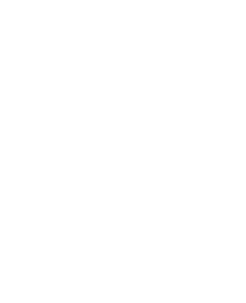 Roy Lewis Construction
